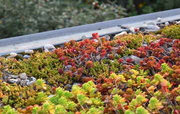 the cost of Woodmancott green roof installation