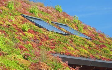 Woodmancott living roof systems